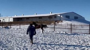 Лужок (Живой Порыв-Леолита)