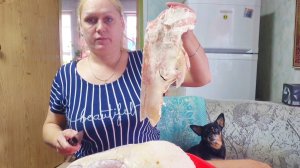 ЖИЗНЬ НА АЛТАЕ,СДЕЛАЛИ БОЛЬШОЕ ДЕЛО