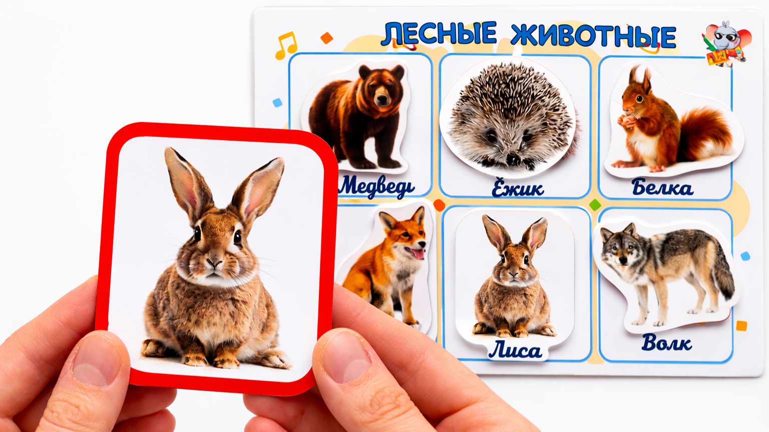 Лесные животные для детей 🦊 Учим животных | Развивающее видео для малышей