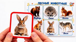 Лесные животные для детей 🦊 Учим животных | Развивающее видео для малышей