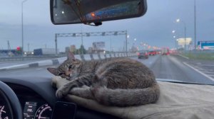 video-output-D8A361F0-9C40-4030-ACA6-BC088B3130FF