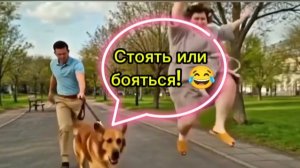 Беги, мужик, беги! 😆