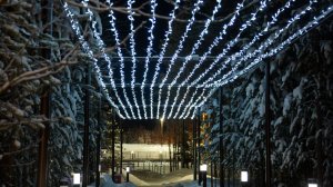 Световой потолок. г. Губкинский