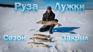 Руза. Лужки. Закрываю сезон. Хороший клёв.