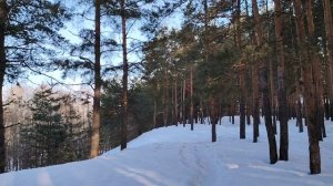 Общение с хамами