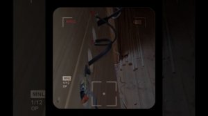 1000052216.mp4 (Собака наблюдает за устройством лестницы на 2-ой этаж в доме А-фрейм)