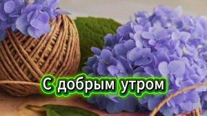 С добрым утром открытки красивые пожелания счастья ☀️✨