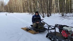 61. Выезд за чагой в марте. Хороший результат. Лес, природа, весна.