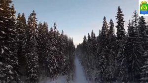 Воссоединение России и Крыма