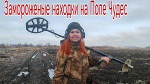 Замороженые находки на Поле Чудес. Бабский Коп в поисках кладов, монет и старины. 20.11.25г