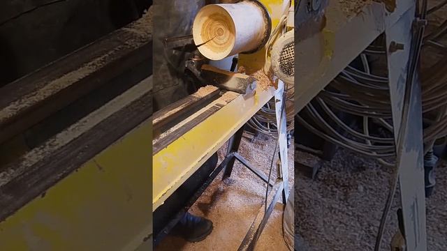 3 резца для Николая
