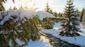 весна🌷☀️🤗