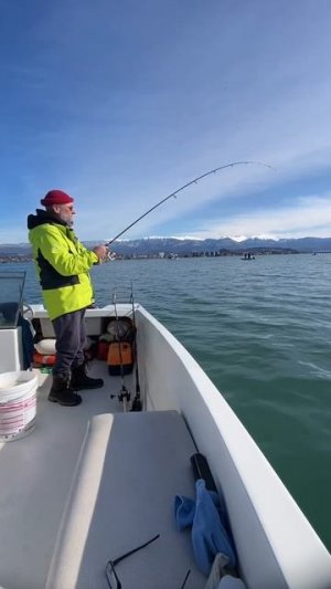 Ставридосина