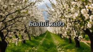 «Балий хадэ»