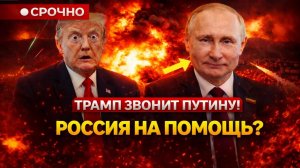 Срочно; Трамп звонит Путину в поисках выхода из войны с Ираном