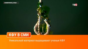 Уникальный материал выращивают ученые Крымского федерального университета