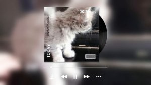 Пушистое чудо