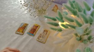 Верит ли загаданный, что у вас будет семья❓