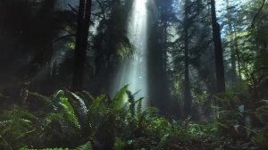 Успокаивающая МУЗЫКА для нервов 🌿 лечебная музыка для сердца и сосудов, релакс, музыка для души