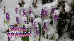 Футаж. Весна пришла 20