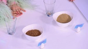 Разнос киноа: в "Жить здорово!" раскрыли, в чем гречка лучше популярного суперфуда