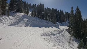 Роза Хутор март 2026. Примула - Явор 2 - Адонис