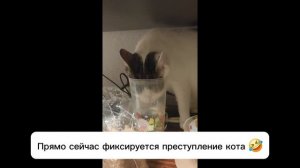 Застали на месте преступления