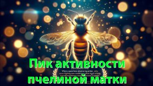 Пик продуктивности матки: в каком возрасте? Ответ профессора Кашковского