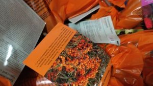 Обзор новых товаров  для сада и огорода в Светофоре.