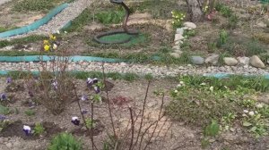 Весенние работы продолжаются.