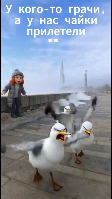 16.03.2026 Дорогой дневник, чайки прилетели!