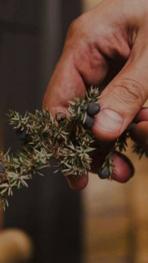 Как разнообразить парение? Делитесь своими способами