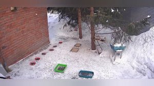 необычное утро