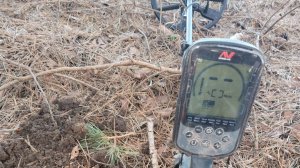 Открытие сезона копа 15.03.2026г. Неудачный шурф.