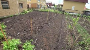 Влог от 19.05.2022