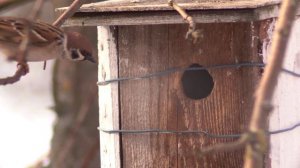 Непридуманная история