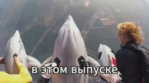 КАК ВЫЖИВАЕТ РУССКОЯЗЫЧНАЯ МОЛОДЕЖЬ НА ЗАГНИВАЮЩЕМ ЗАПАДЕ. Развелся с женой. Похудел на 22 кг.