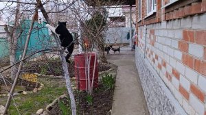 Март пошли грибы