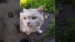 крутой 😎😎😎