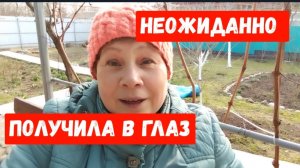201🏡Не планировала/Получила в глаз /Тапенер/Убираюсь/Рассада в неотапливаемой теплице