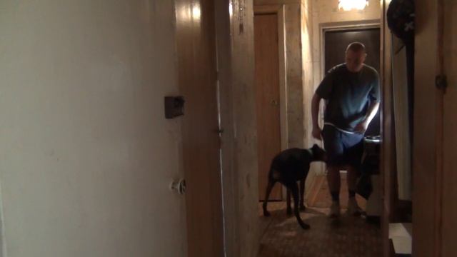 17716485158456 Скрипач