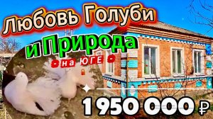 🏡 Успей приобрести ! 67.3 м2🦯50 соток🦯1 950 000 ₽🦯хутор Куликовский🦯89245404992 Виктор С🌴