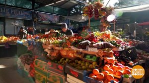 Что растет под крымским солнышком? Все растет! Доброе утро. Фрагмент выпуска от 16.03.2026