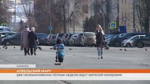 Две необыкновенно тёплые недели ждут жителей Мордовии