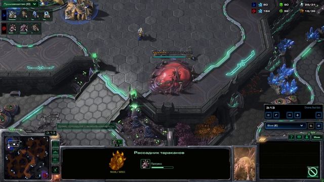 SC2 Сборник игр