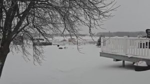 Сельчанка в Америке / Бывший хозяин хотел вернуть землю назад