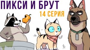 Пикси и Брут. 14 серия