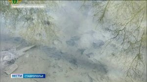 На берегу реки на Ставрополье нашли тело ребенка