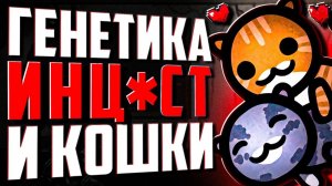 Игра про котиков нанесла мне травму Mewgenics | Amytrip