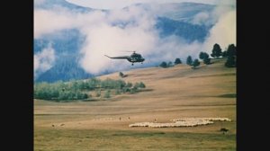 Чито-гврито. Фрагменты из фильма "Мимино". 1977 г.